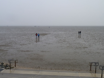 Wattenmeer Buesum