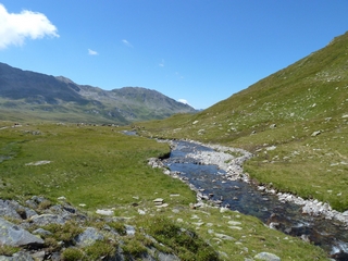 passo uomo