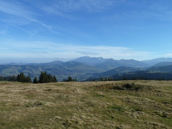 Regelstein