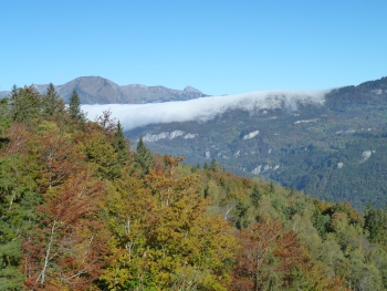 Bruenigpass