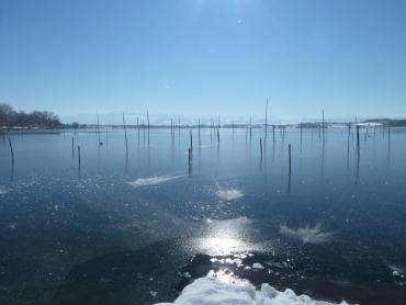 Pfaeffikersee