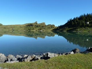 Truebsee