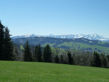 saentis
