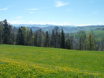 Fnflnderblick