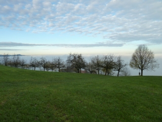 Rorschacherberg