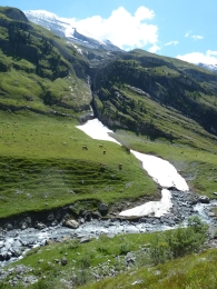 Schnee im August