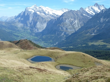 grindelwald