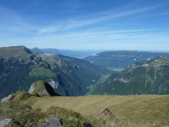 Maennlichen