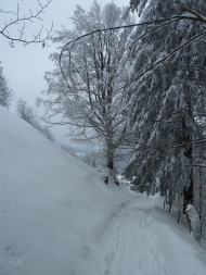 Winterwanderweg Hoernli