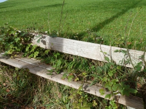 Bnkli Hhenklinik Wald