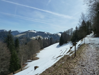 Alp Scheidegg