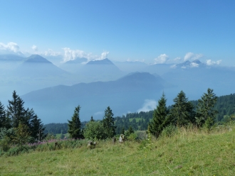 Chaenzeli