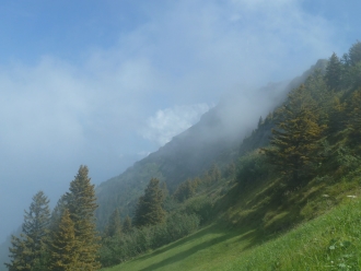 Rigi