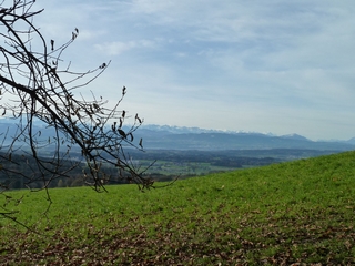 Aussicht