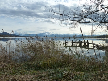 Pfaeffikersee