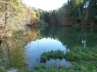 see mit herbstbaeumen