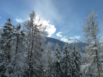Schatzalp