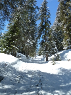 winterwanderweg vals