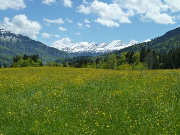 Churfirsten