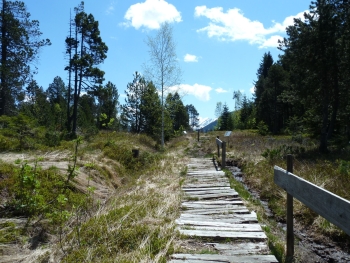 Moorweg Wolzenalp