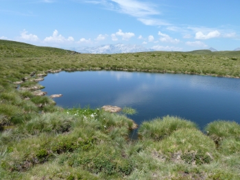 Bergseeli