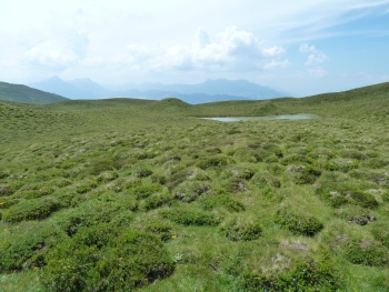 Bergseeli