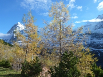 Kleine Scheidegg