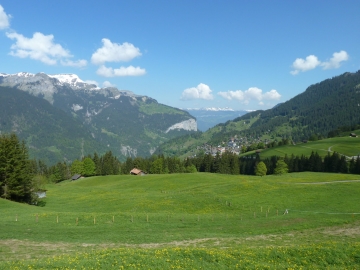 wengen