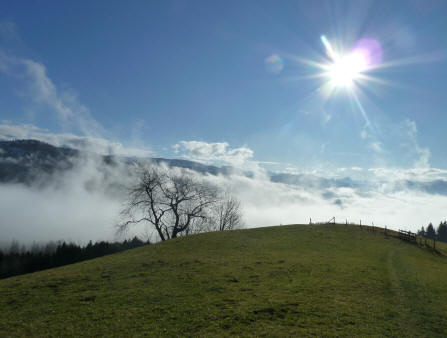 Nebelmeer