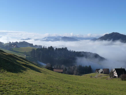 Nebelmeer