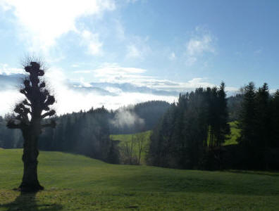 Nebelmeer