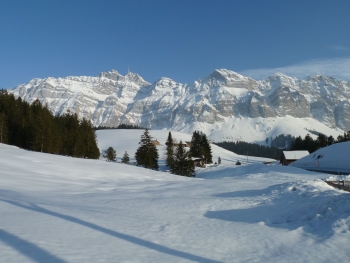 Saentis