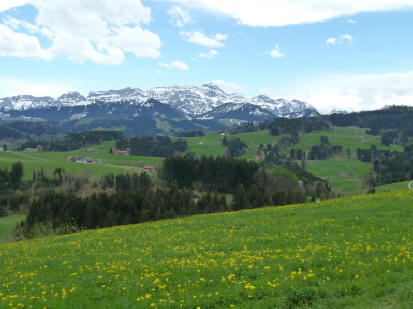 Saentis