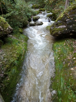 Wildbach