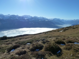 aussicht niederhorn